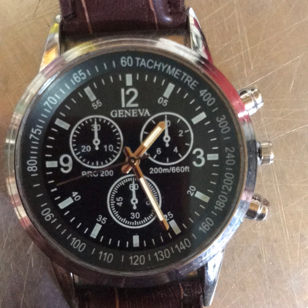 Geneva Watch